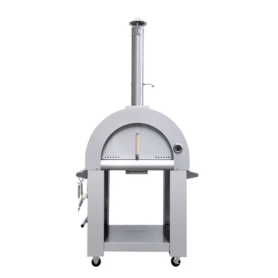 Hyxion pizza oven pizza cooker  wood fired brick
