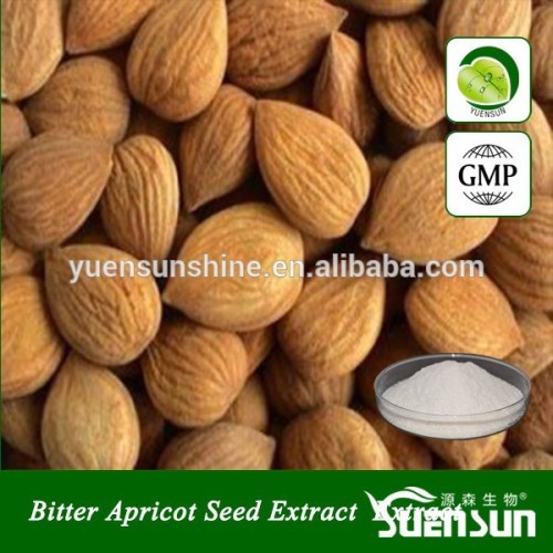Gmp Certificate Bitter Apricot Seed Powder, High Quality Gmp