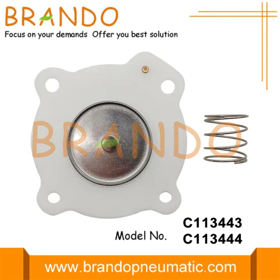 3/4'' C113443 1'' C113444 Diaphragm Repair Kit