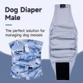 Male Dog Diapers