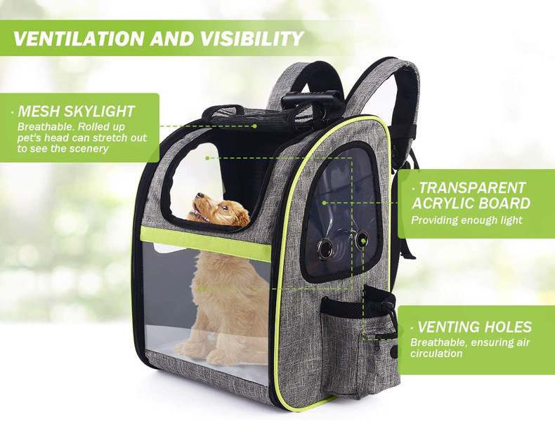 Pet Travel Carrier