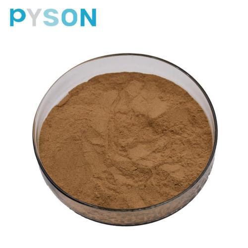 Best price for Echinacea extracts powder