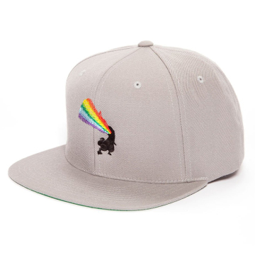 Sport 3D embroidery logo Custom snapback caps