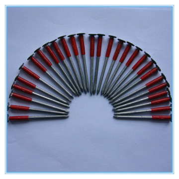 Large Flat Head Round Wire Nail for American market