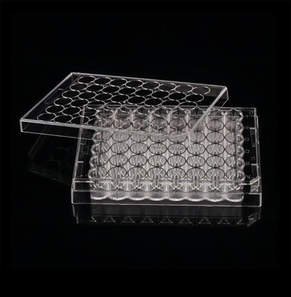 48 Well Cell Culture Plates Flat Bottom