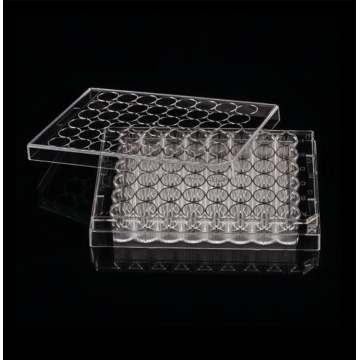 48 Well Cell Culture Plates Flat Bottom