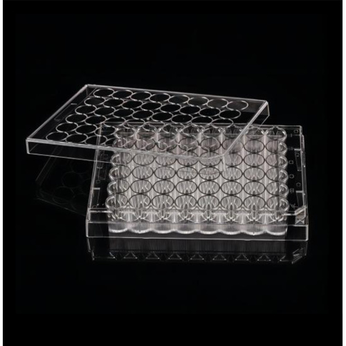 48 Well cell culture plate flat bottom