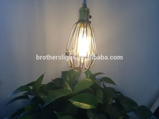 China wholesale Vintage Squirrel Cage for filament bulbs with rustic wire cage
