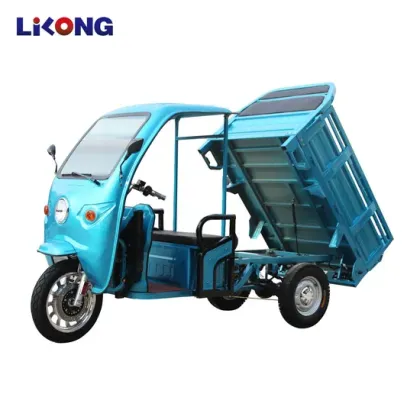 EEC Certified Safety Electric Truck for Family Use