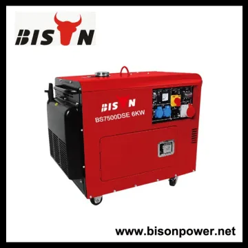 BISON(CHINA) 6kw Home Use Silent Type Diesel Generator