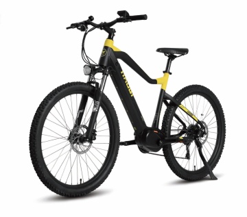 Cheetah All-Terrain E-MTB