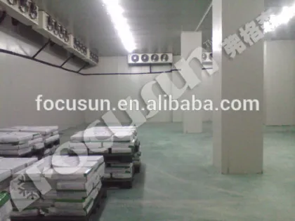 Cold storage for block ice, flake ice, tube ice