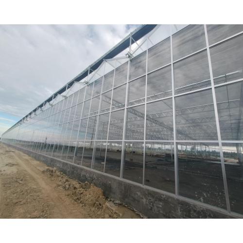 Steel Gutter Multi Type Glass Planting Greenhouse