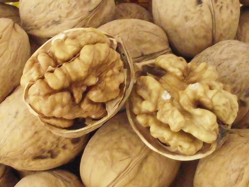 Demand of Walnut