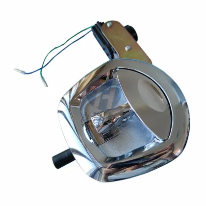 12V Electric Whale Tail Lock