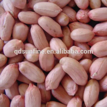High demand exporting products peanuts 1kg price sudan peanuts import