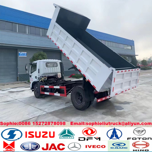 Dongfeng 4x4 Off Road Rhd 5t camión volquete