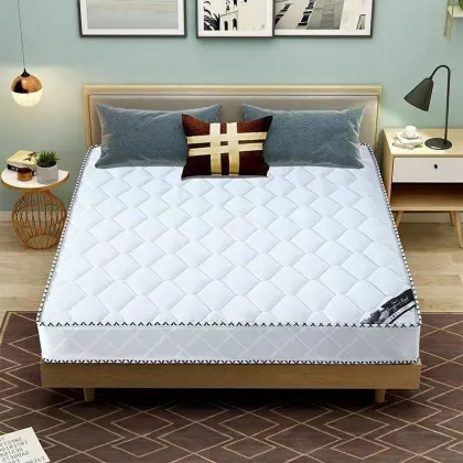 Hypo-Allergenic Coconut Palm Spring Mattress for Bedroom