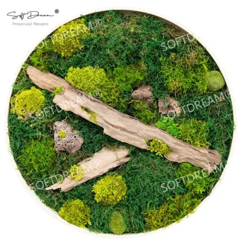 Softdream Floral 3D Real Natural Moss Wall Art Frames - Wholesale Reindeer Moss Stabilized