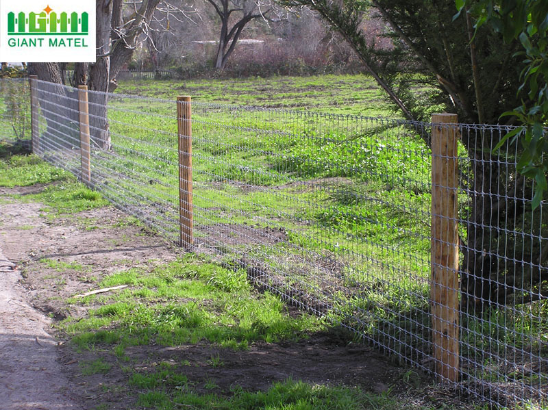 Glavanized PVC Coated Field Fence Deer Farm Fence