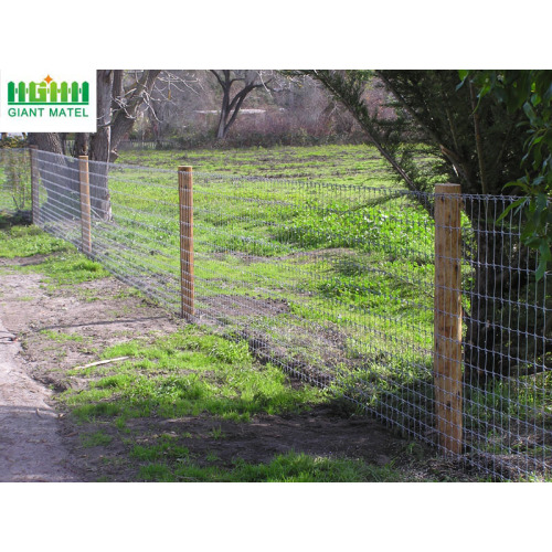 Cerca revestida de la granja de los ciervos de la cerca del campo del PVC de Glavanized