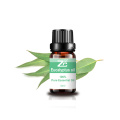 100% Pure Natural Eucalyptus Essential Oil for Massage