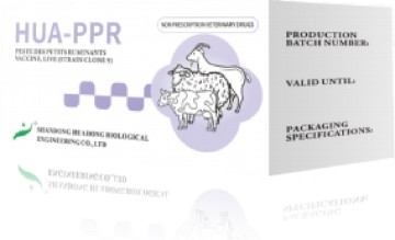 Peste Des Petits Ruminants Vaccine, Live