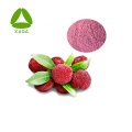 Gefriergetrocknetes Red Bayberry Waxberry Fruchtsaftpulver