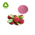 Pó de suco de frutas de cera de Bayberry vermelho liofilizado