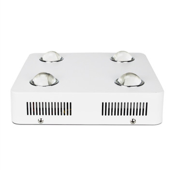 600W COB LED wachsen Licht voller Spektrum Hotselling LED wachsende Beleuchtung für Gewächshaus