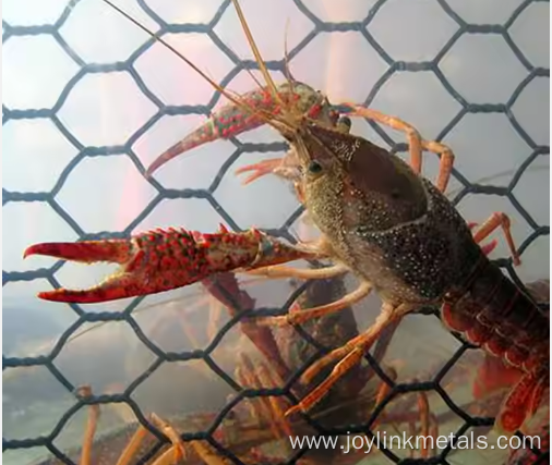 Chicken Hexagonal Wire Netting Wire Mesh