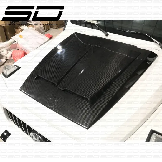 B Style Dry Carbon Fiber Hood Full Set Body Kit for G Class G63