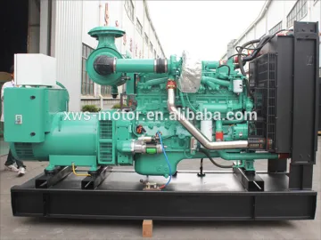 Hot sales! diesel generator fuel consumption per hour good price
