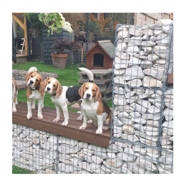 Prezzo di fabbrica Gabion Basket Galvanizzato Galvanizzato Mesh per la protezione dell'argine