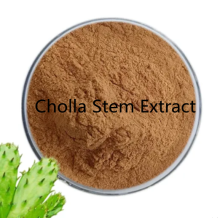 Buy online active ingredients Cholla Stem Extract powder