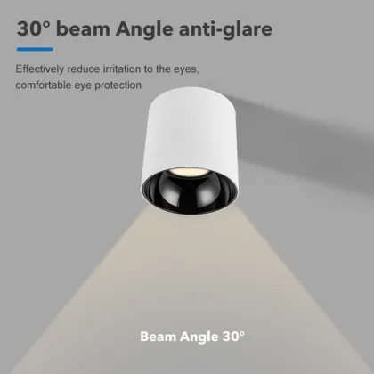 Ecolux 20W Energy Saving LED Downlight