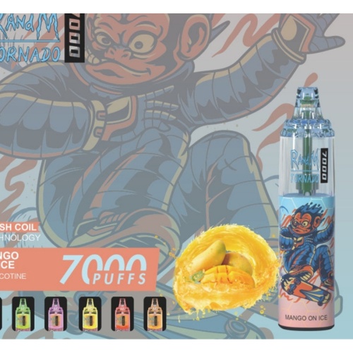 Disposable Electronic Cigarette RandM Tornado 7000 Puffs