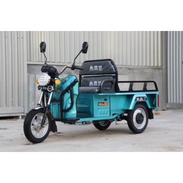 60V 1000W High Quality Three Wheel electric tricycles