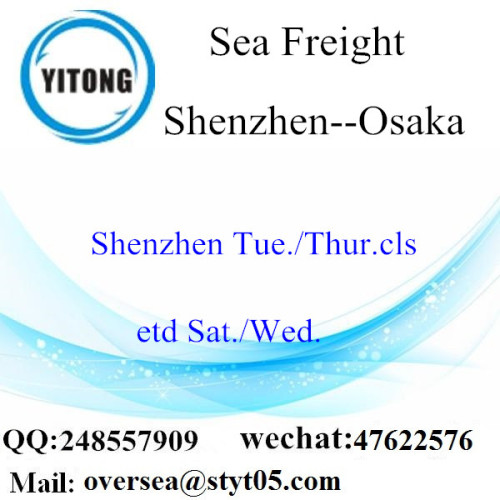 Shenzhen Port LCL Consolidation naar Osaka