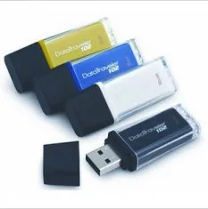 Branded kingston USB Flash Drives DT102