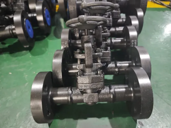 DN15 PN100 1.0460 Globe Valve UN 13 1406