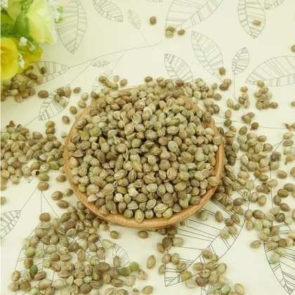 Crude Pure Raw Hemp Seed with Different Size