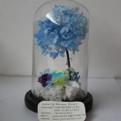 Venus Et Fleur Real Rose Leaves for Home-Decoration