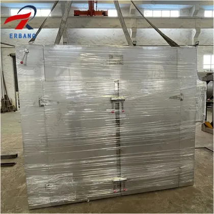 Fish Dry Oven/Hot Air Oven