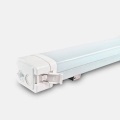 Lampu LED Tri-proof IP65 untuk indoor dan outdoor
