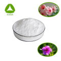 Catharanthus Roseus Extrakt Vincamin 99% Pulver