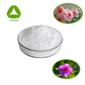 Extrato de Rosco de Catharanthus Vincamine 99% em pó