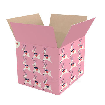 Regalo di Natale Custom Eco-friendly Orgated Box Packaging