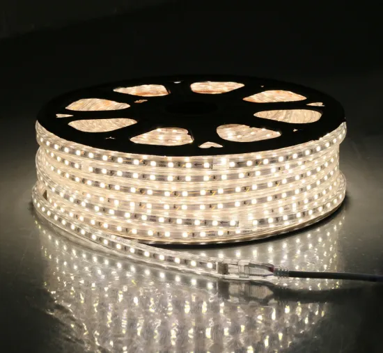 High Voltage LED Strip AC 24120V/240V 12W/M 60LED/M 5050 SMD