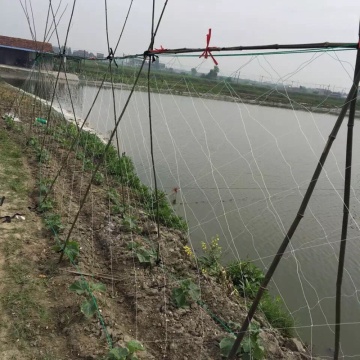 Red de escalada de soporte de pepino de HDPE anudado de